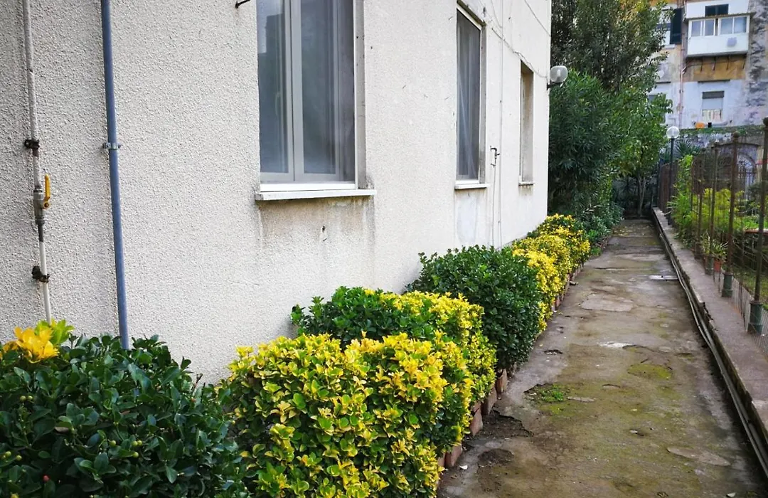 Il Giardino Di Vico Neve-1