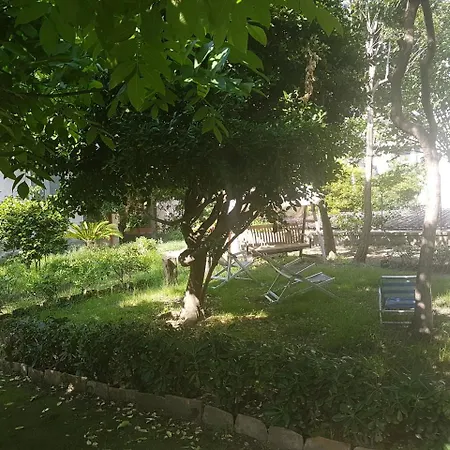 Il Giardino Di Vico Neve-3